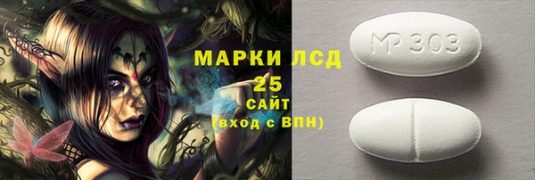 амф Каменка
