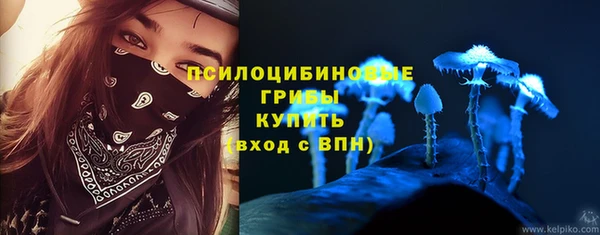 амф Каменка