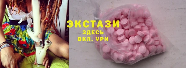 амф Каменка