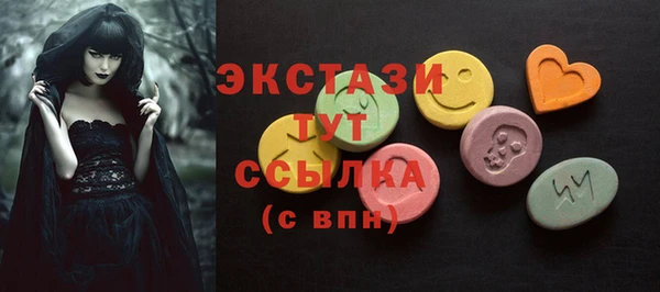 амф Каменка