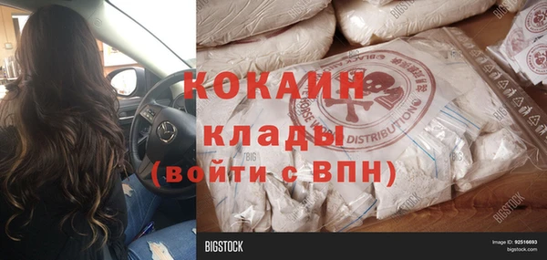 apvp Каменногорск