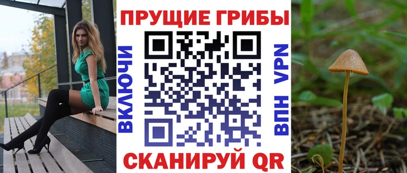 Галлюциногенные грибы Magic Shrooms  Купить закладки  Бологое 